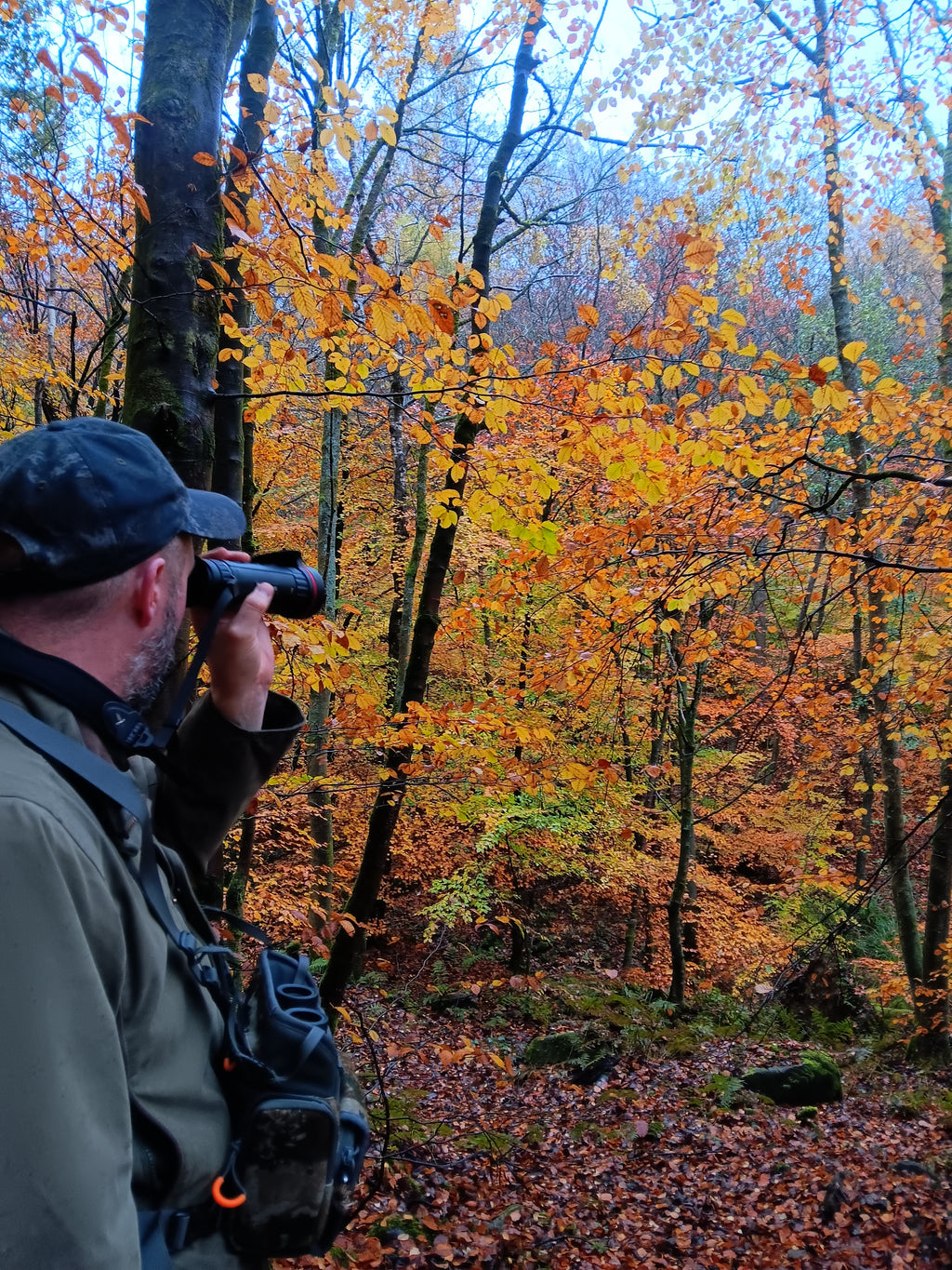 Field to Fork experience