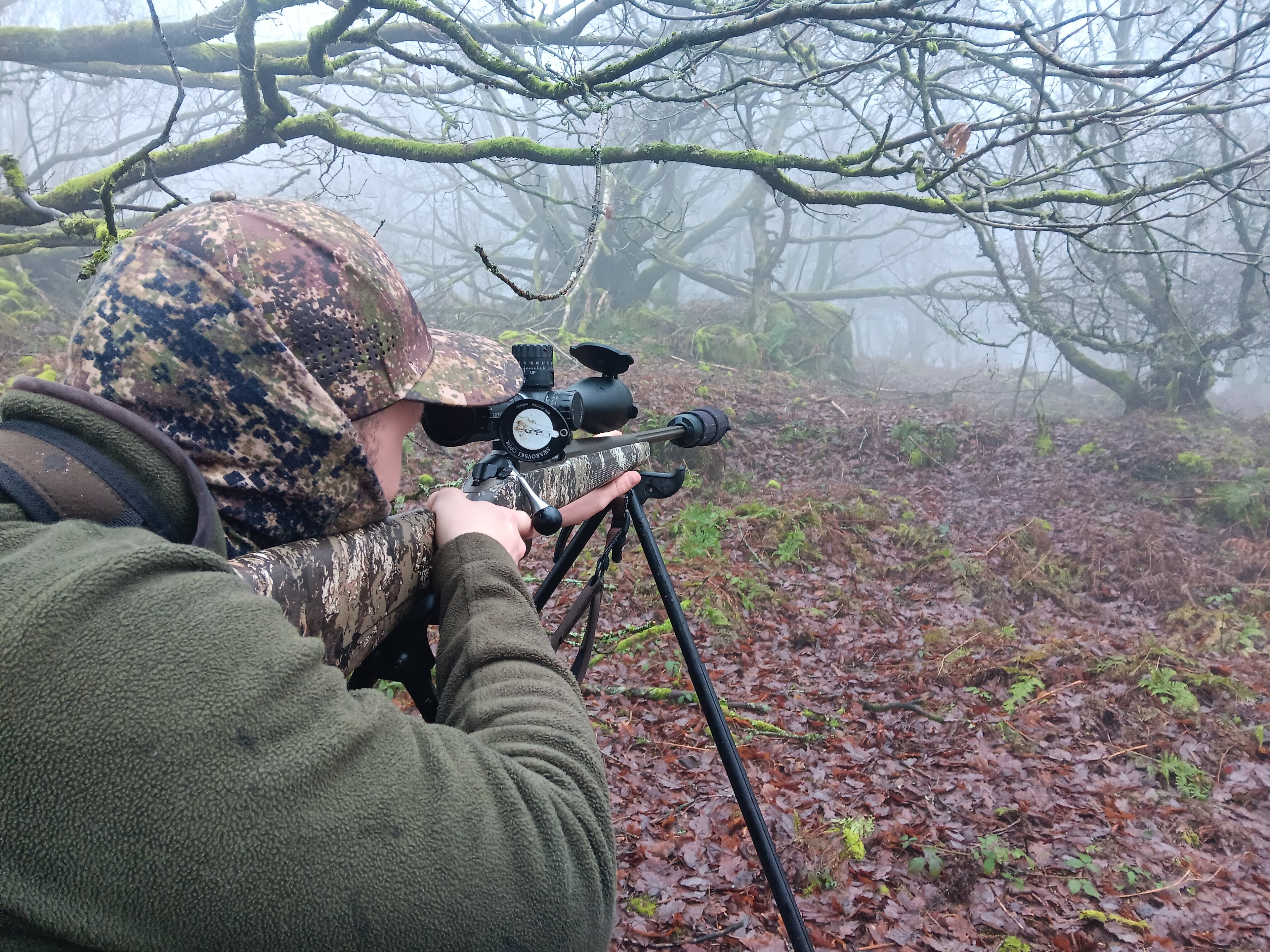 Field to Fork experience