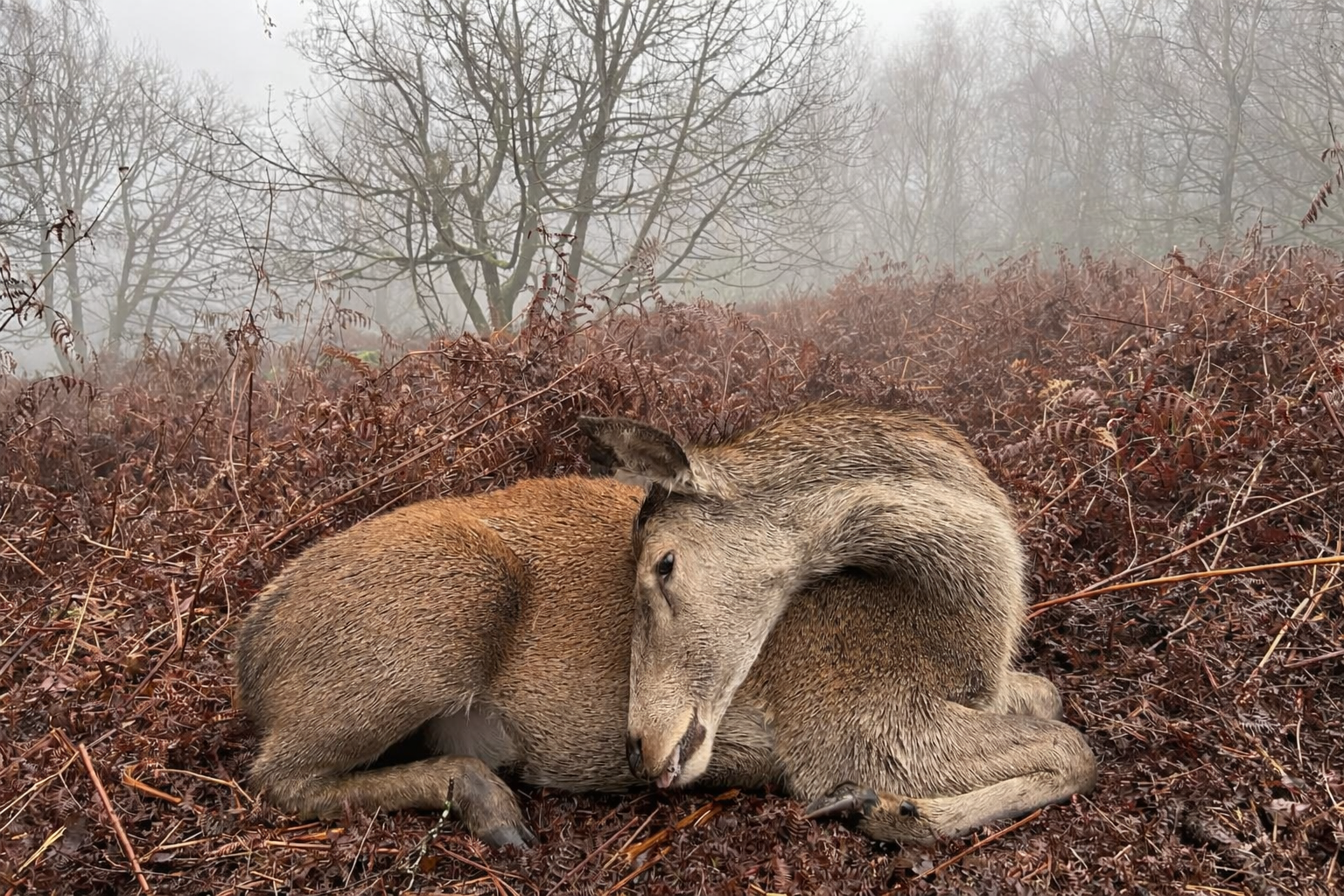 Field to Fork experience