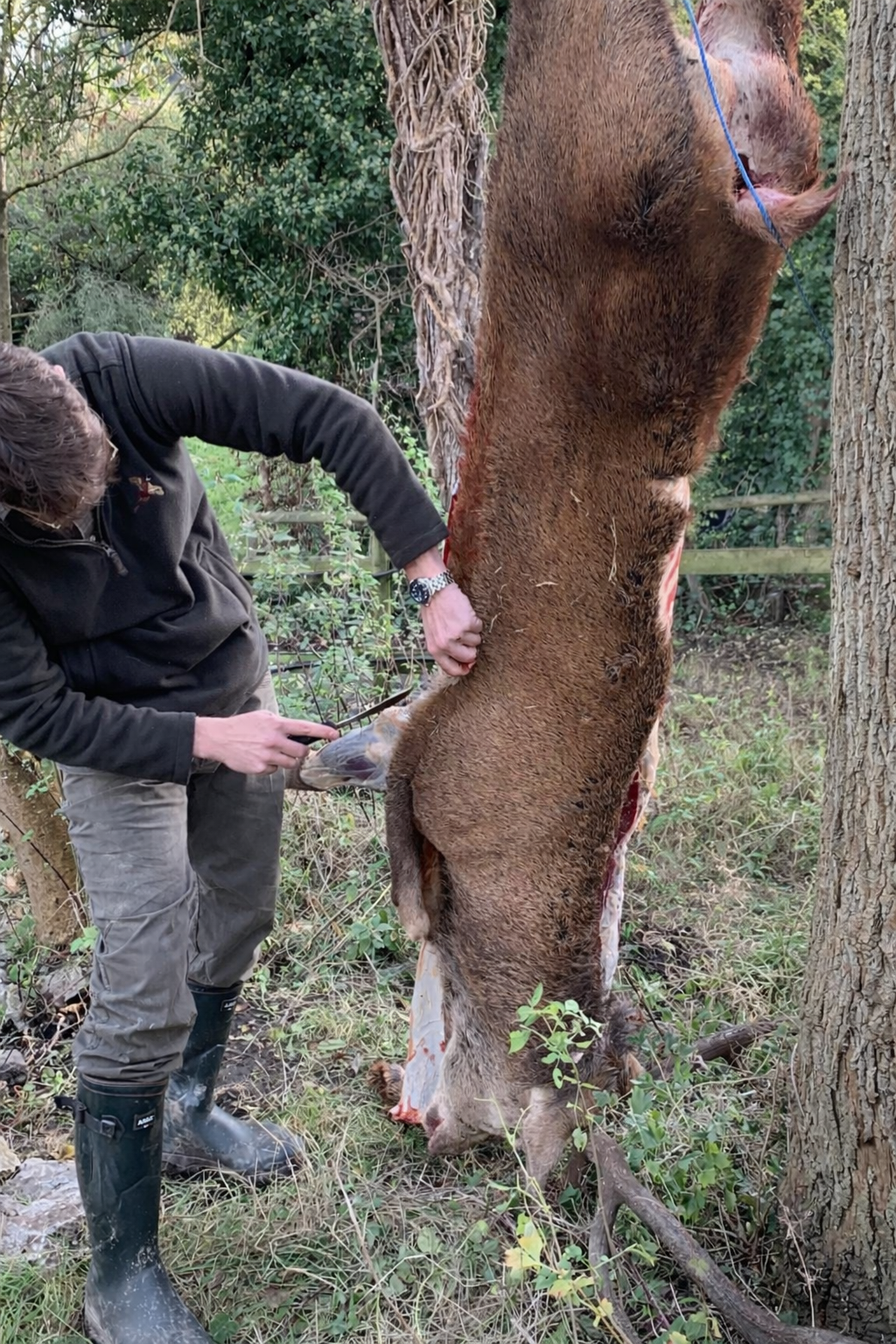 Field to Fork experience