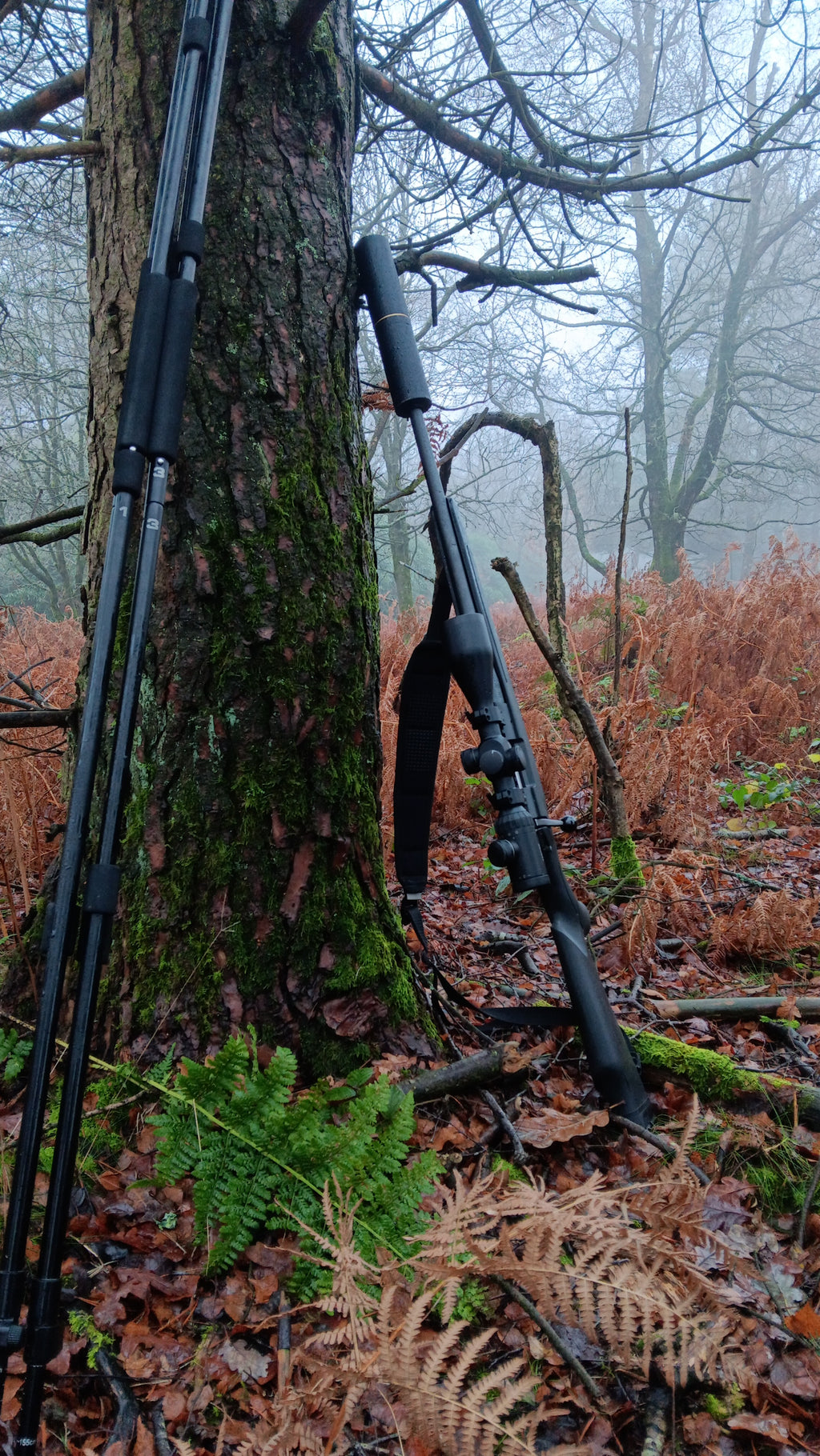 Field to Fork experience